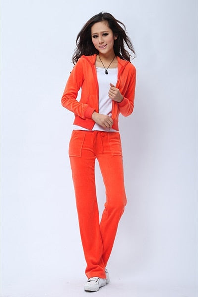 Spring/Fall Women's Brand Velvet Fabric Tracksuits Velour Suit Women Track Suit Hoodies And Pants fat sister sportswear