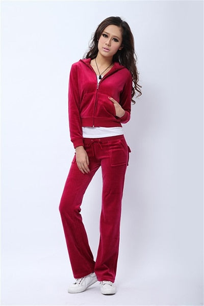 Spring/Fall Women's Brand Velvet Fabric Tracksuits Velour Suit Women Track Suit Hoodies And Pants fat sister sportswear