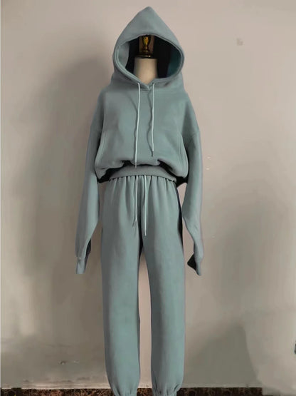 Hoodies Suit Winter Spring Solid Casual Tracksuit Women Fleece 2 Pieces Set Sports Sweatshirts Pullover Sweatpants Wholesale