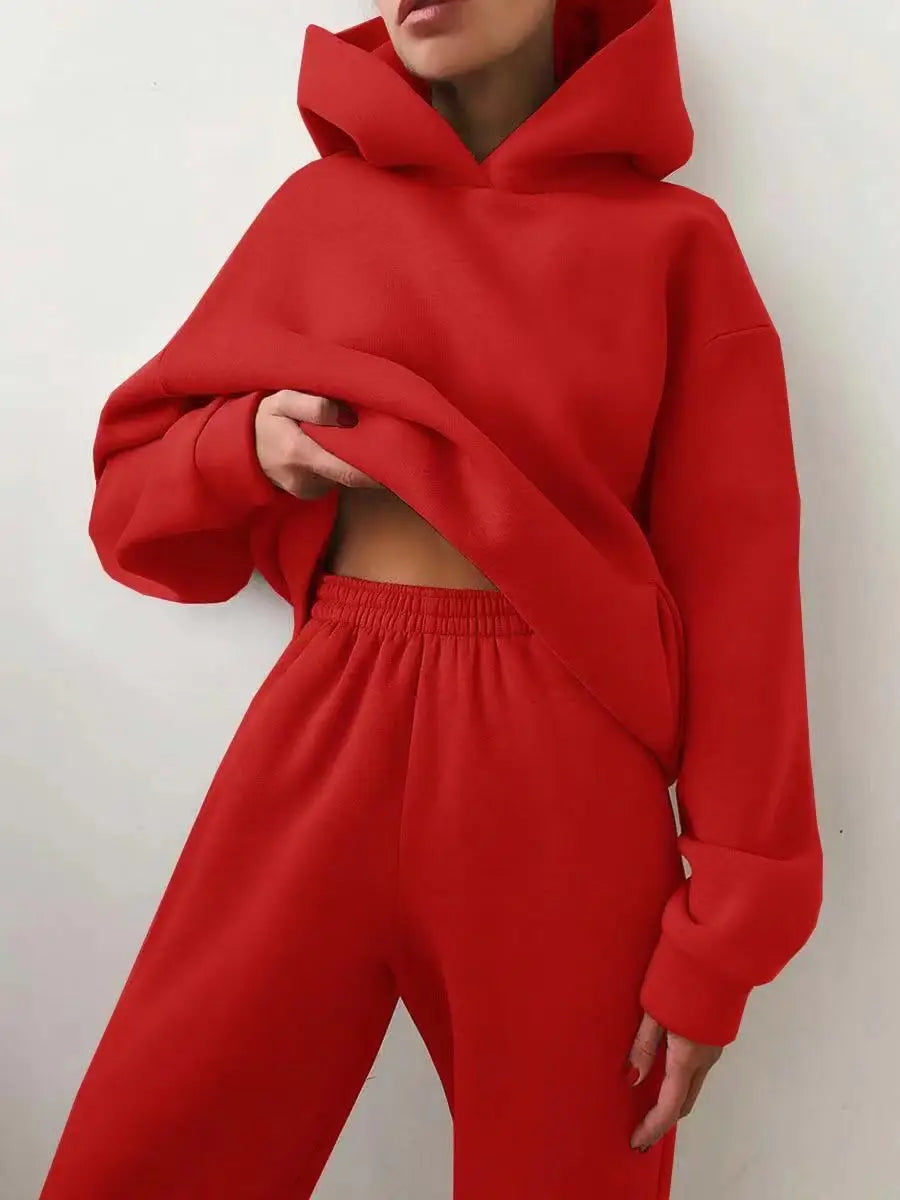 lovwvol  -  Winter Women Two Piece Sets Tracksuit Autumn Casual Solid Long Sleeve Hoodie Sweatshirts Female Oversized Trouser Pant Suit