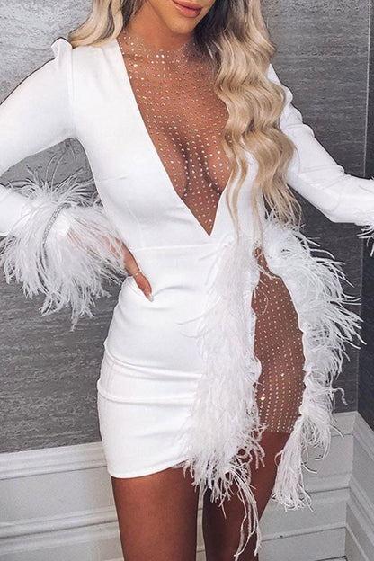 Feather & Mesh Patchwork Glamorous See-Through Mini Dress