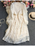 Lovwvol Hnewly New Spring Summer Women Elegant Embroidery Lace Long Dress Lady Fashion Slim High Waist A-line Gauze Dresses